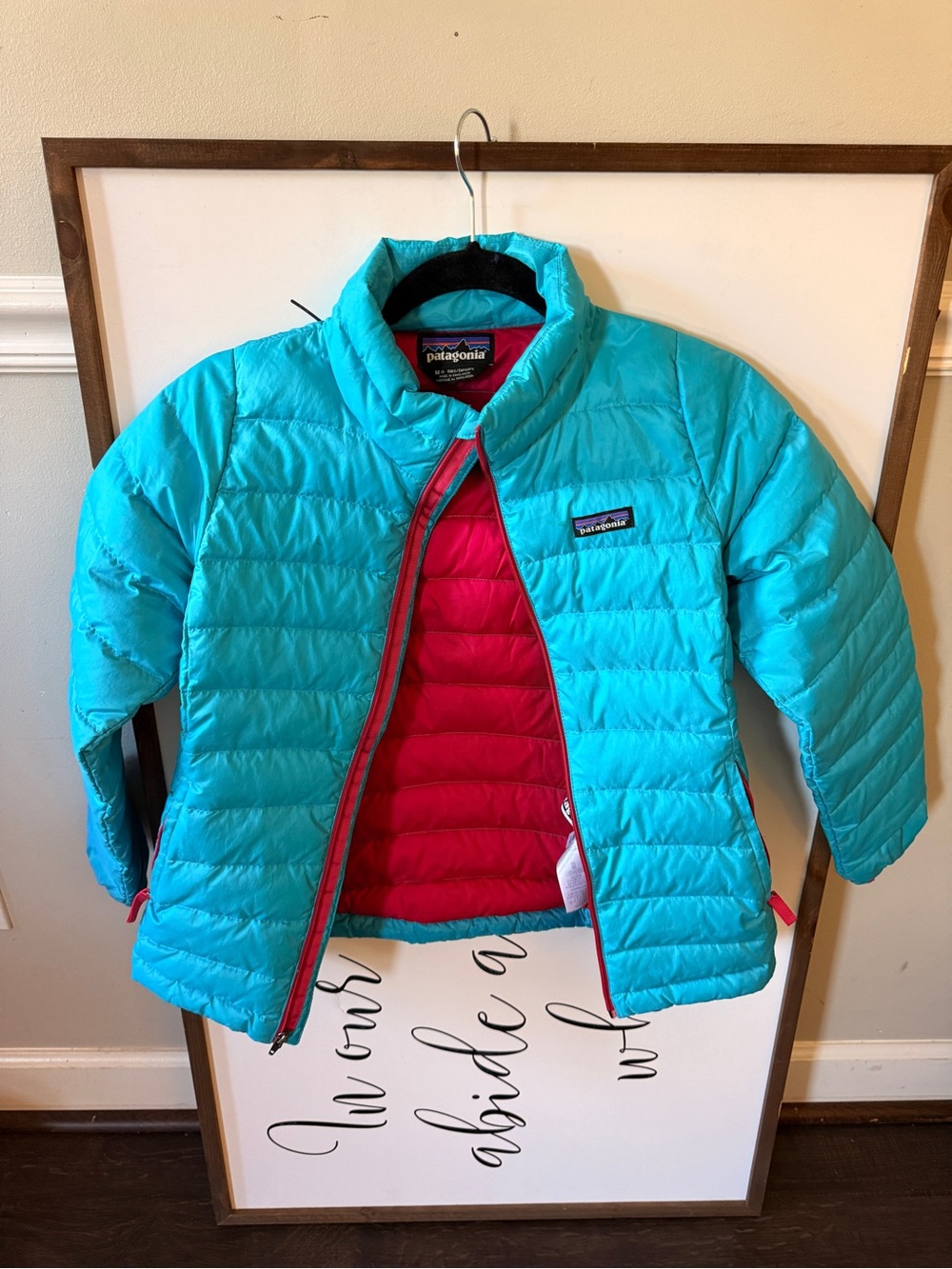 Patagonia Kids Turquoise Puffer Jacket with Pink Lining